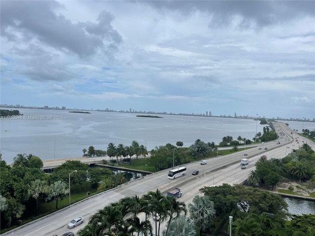 property view of water