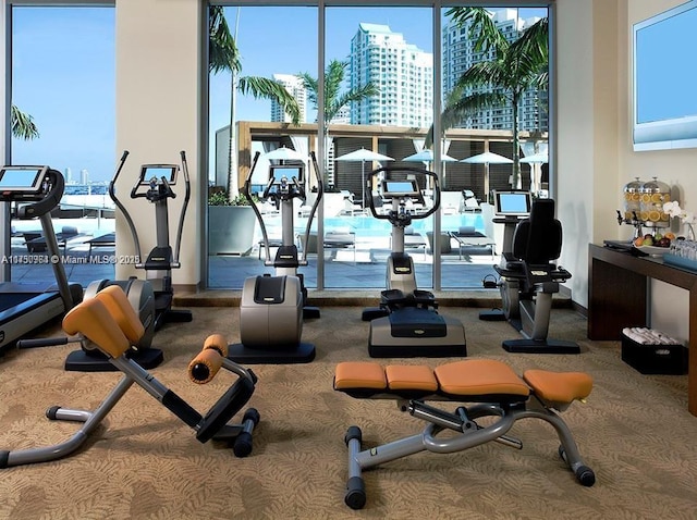 workout area featuring carpet and a view of city