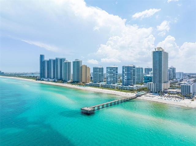 birds eye view of property featuring a city view and a water view