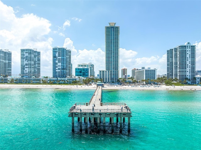 view of water feature featuring a view of the beach and a view of city