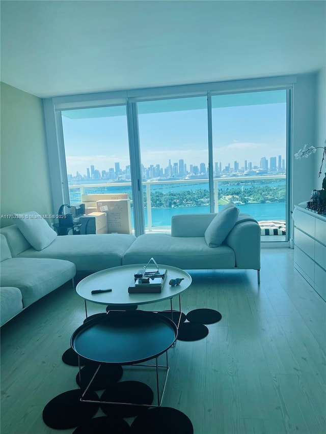 living room featuring a city view and wood finished floors