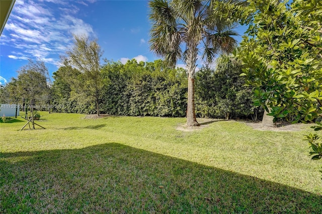 3705 Bennington Ln, Fort Pierce, FL 34981 - view of green lawn