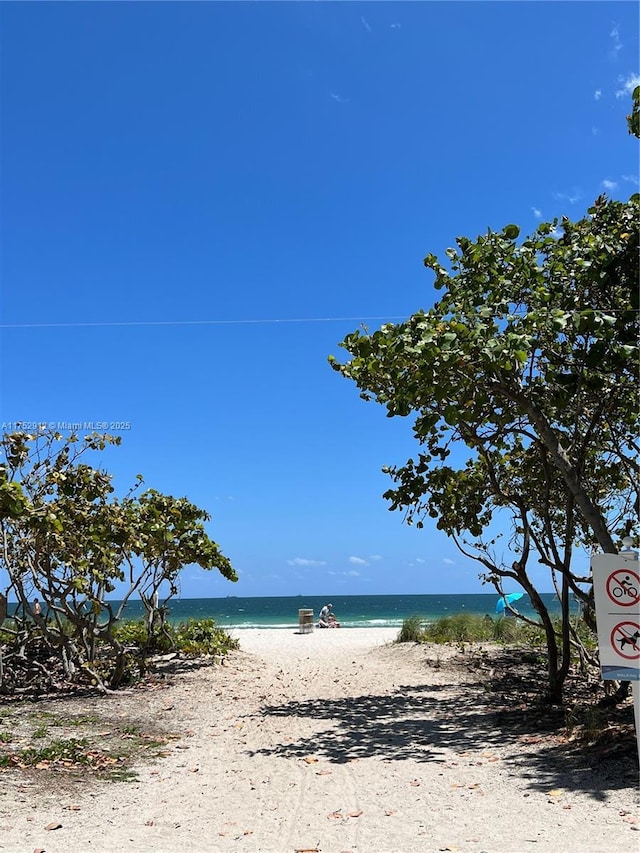 water view featuring a beach view