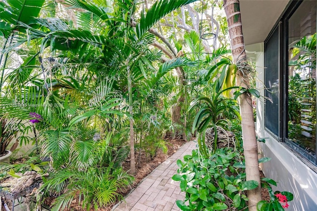 1698 S Ocean Ln Unit 171, Fort Lauderdale, FL 33316 - view of yard