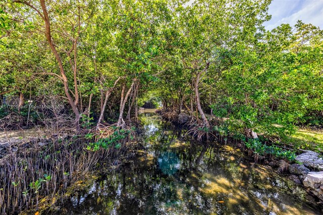 264 Lincoln Ave, Tavernier, FL 33070 - photo 13