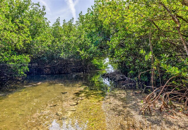 264 Lincoln Ave, Tavernier, FL 33070 - photo 15