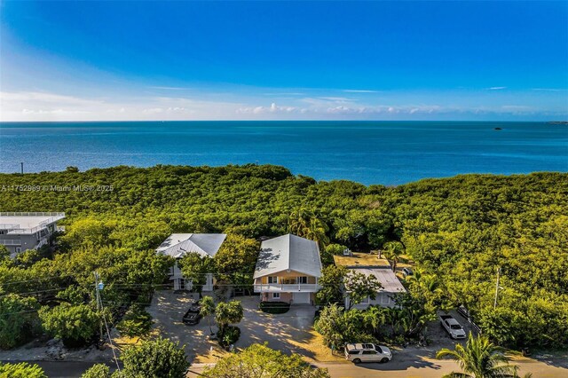 264 Lincoln Ave, Tavernier, FL 33070 - photo 42