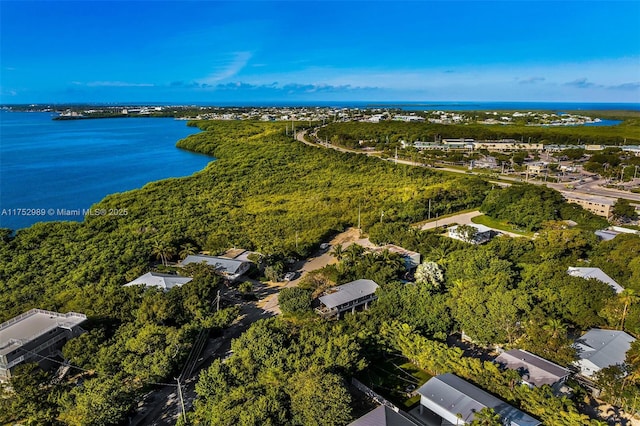 264 Lincoln Ave, Tavernier, FL 33070 - photo 44