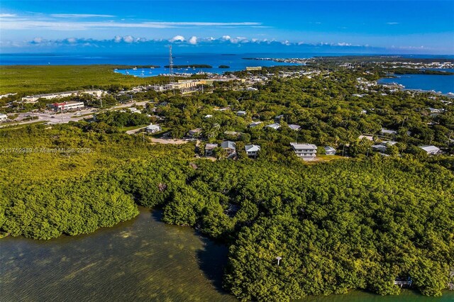 264 Lincoln Ave, Tavernier, FL 33070 - photo 49