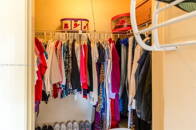 view of spacious closet