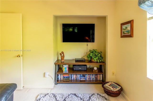 interior space featuring carpet and baseboards