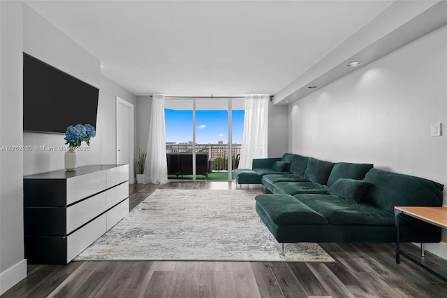 living area featuring wood finished floors and floor to ceiling windows