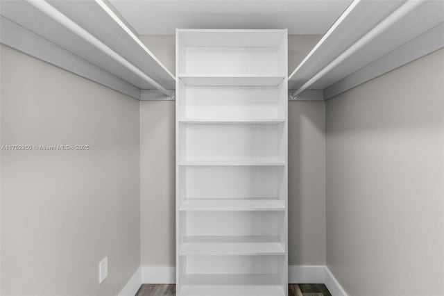 spacious closet featuring wood finished floors