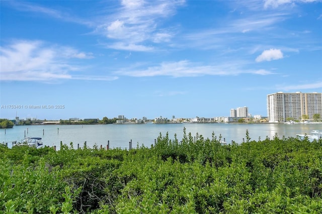 property view of water featuring a view of city