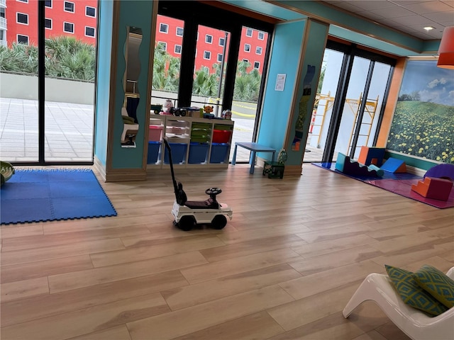 exercise room with wood finished floors and plenty of natural light