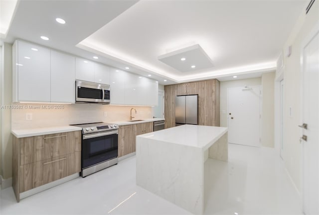 kitchen featuring a sink, modern cabinets, appliances with stainless steel finishes, and a tray ceiling