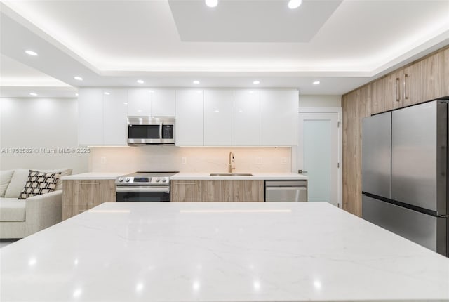 kitchen with modern cabinets, appliances with stainless steel finishes, a tray ceiling, a sink, and recessed lighting