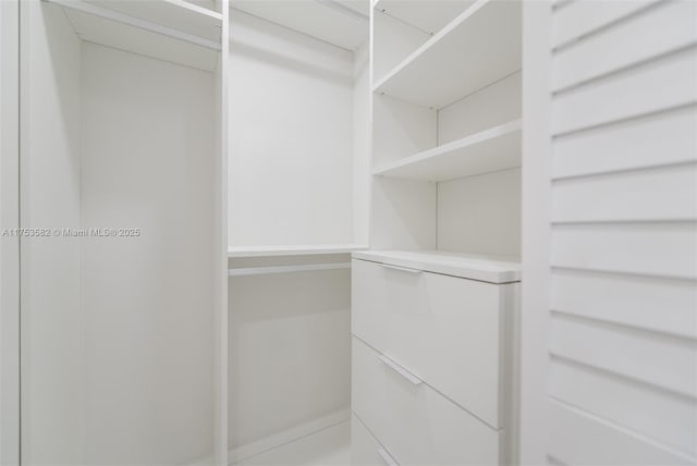 view of spacious closet