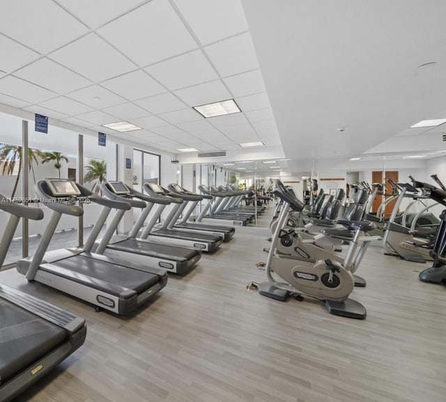 exercise room with a paneled ceiling, visible vents, floor to ceiling windows, and wood finished floors