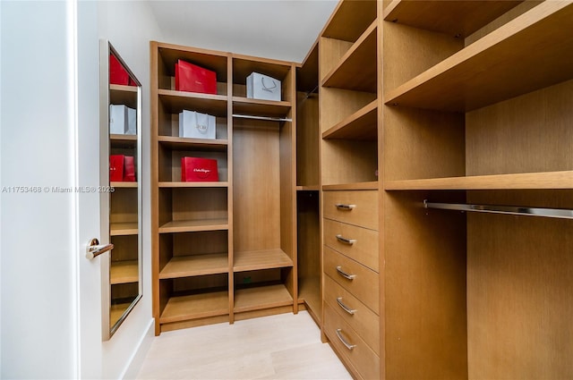 view of spacious closet