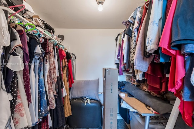 view of spacious closet