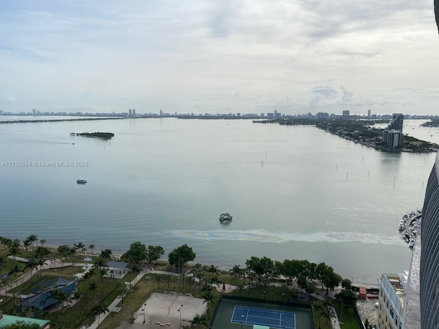 view of water feature with a view of city