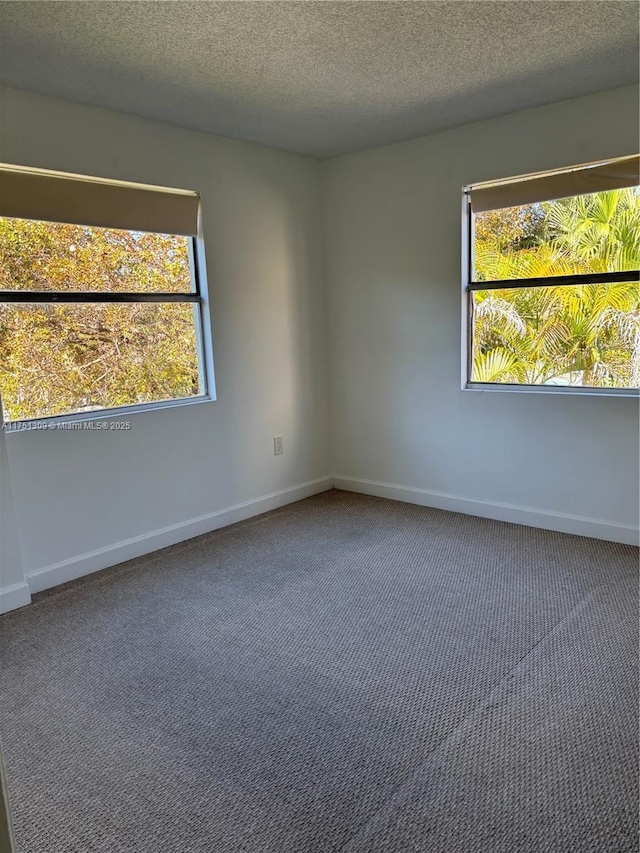 unfurnished room featuring a wealth of natural light, baseboards, a textured ceiling, and carpet