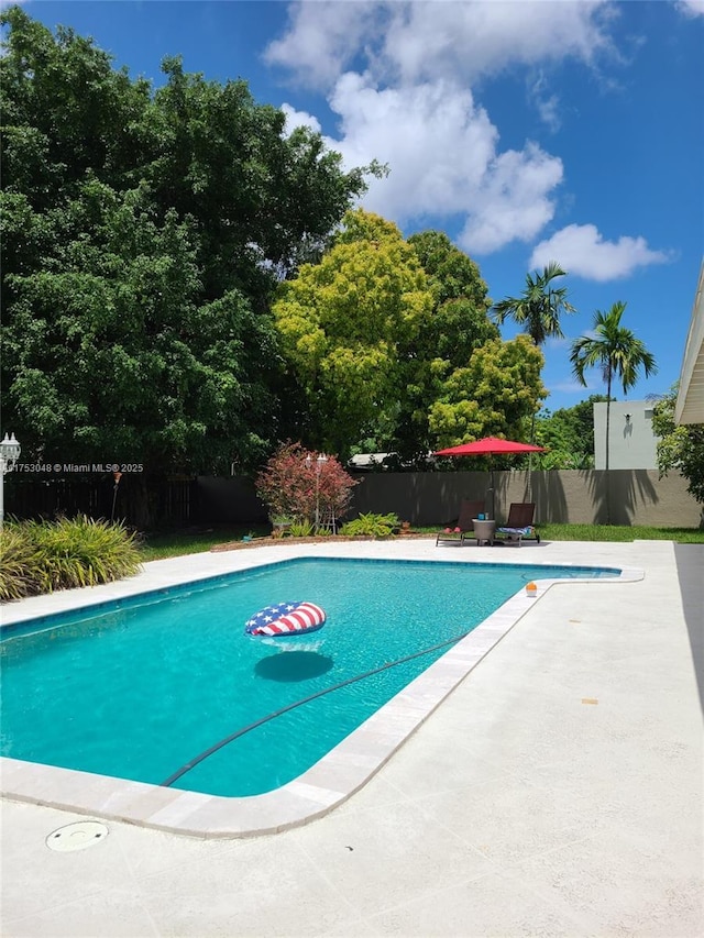 view of pool featuring a patio area, a fenced backyard, and a fenced in pool