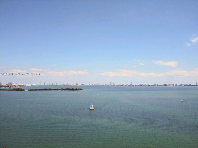 view of water feature featuring a view of city