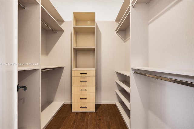 walk in closet with dark wood-type flooring