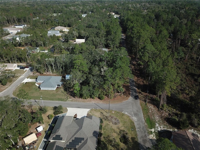 Listing photo 3 for Guava Pass, FL 32179