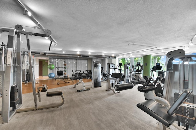 2681 N Flamingo Rd Unit 1103S, Sunrise, FL 33323 - gym with a textured ceiling, carpet, and rail lighting