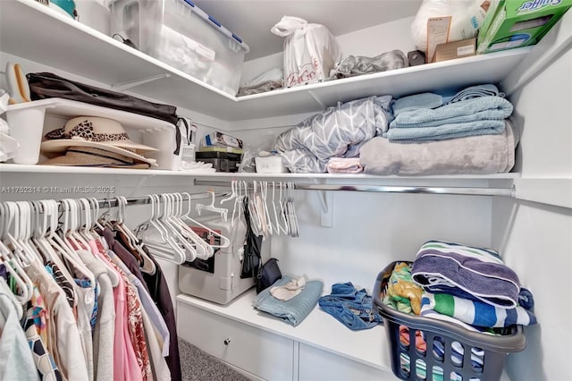 view of walk in closet