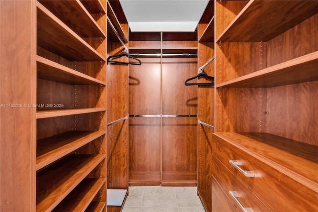 view of walk in closet