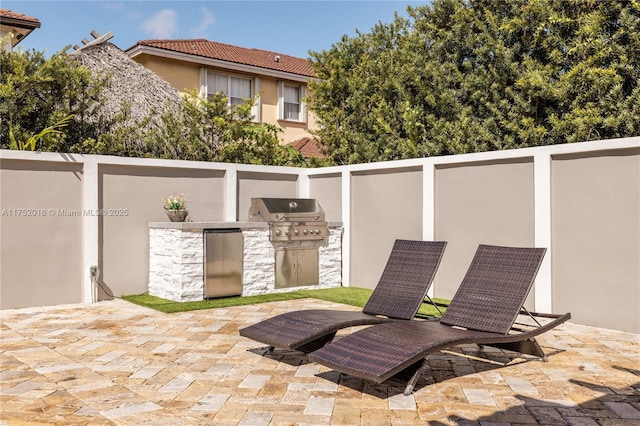 view of patio / terrace with exterior kitchen and grilling area