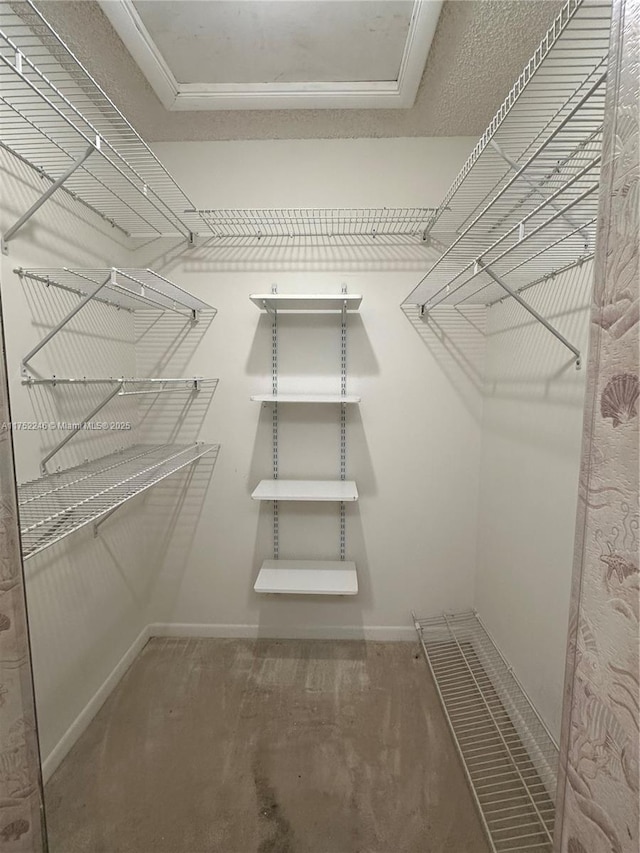 walk in closet featuring carpet