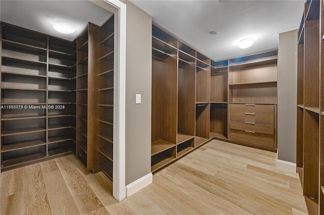 spacious closet featuring wood finished floors