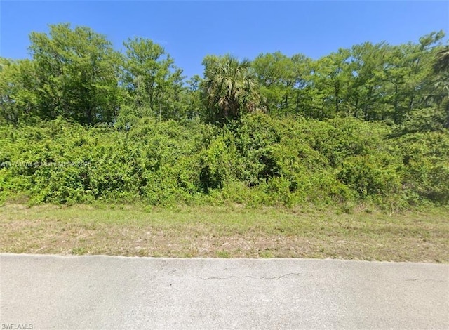 XXX 16th Ave NE, Naples FL, 34120 land for sale