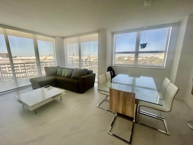 interior space with carpet, plenty of natural light, and a wall of windows