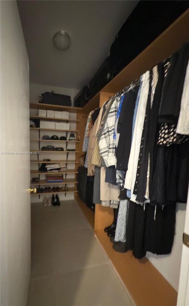 view of spacious closet