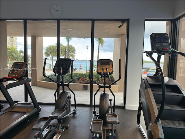 exercise room with a healthy amount of sunlight and baseboards