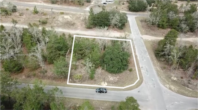 Guava Pass, FL, 32179 land for sale