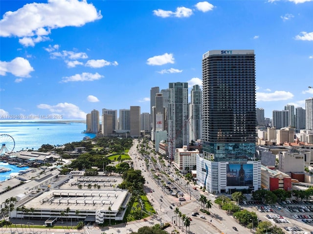 bird's eye view featuring a water view and a city view