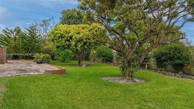 view of yard featuring a patio area