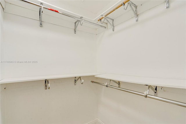 view of spacious closet