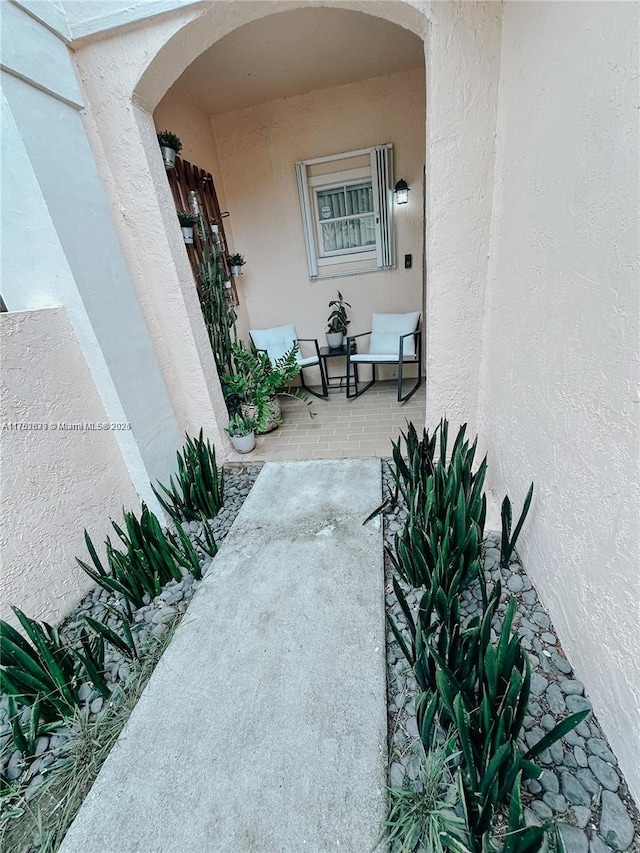 view of exterior entry with a patio and stucco siding