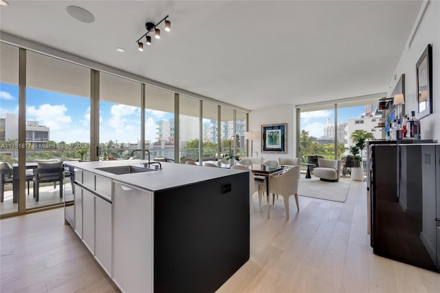 kitchen featuring a view of city, expansive windows, a sink, and light wood-style floors