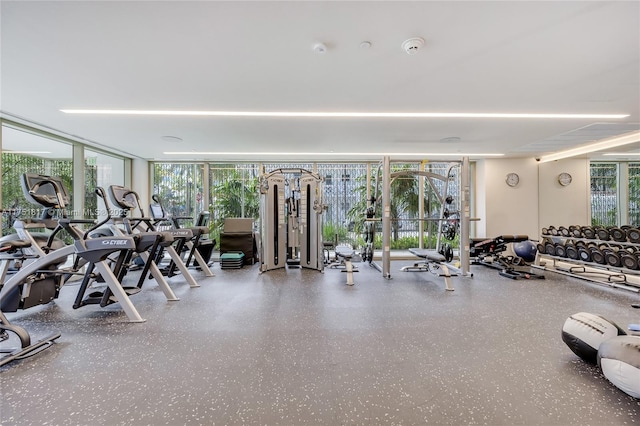 gym featuring a wealth of natural light and floor to ceiling windows