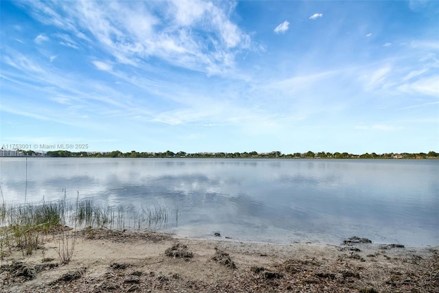 property view of water