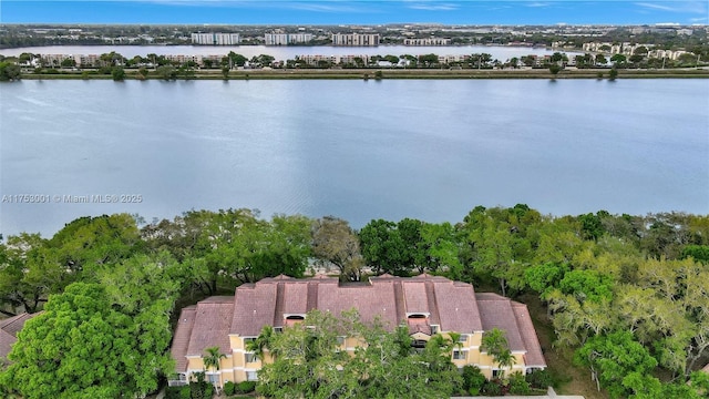 bird's eye view with a water view